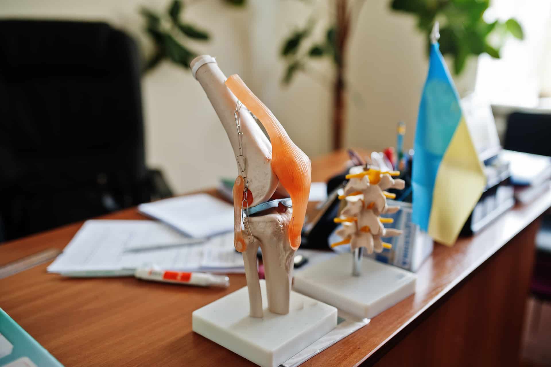 artificial human knee joint model in medical offic ZCE9RCD